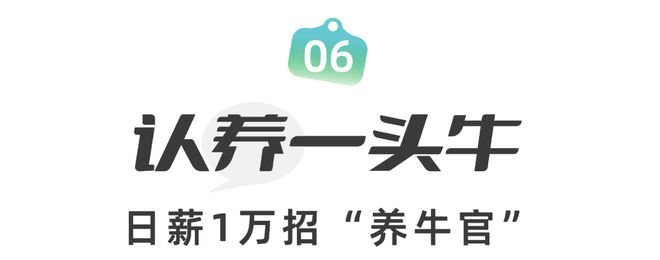 ayx爱游戏体育官方网站2022让人好感度up的招聘广告（挖墙脚版）(图9)