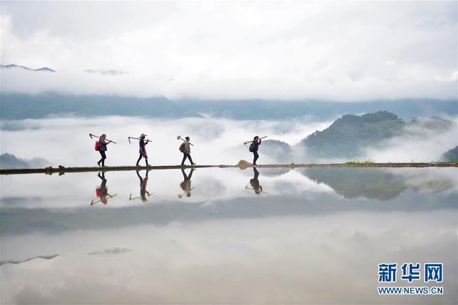 爱游戏中国官方网站,生态环境显著改善 人与自然和谐共生——回眸“十三五”系列述评(图2)